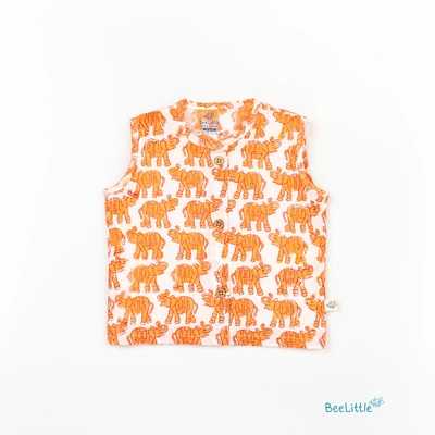 Orange Elephant