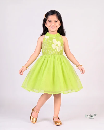 Pista Green Organza Halter Neck Frock